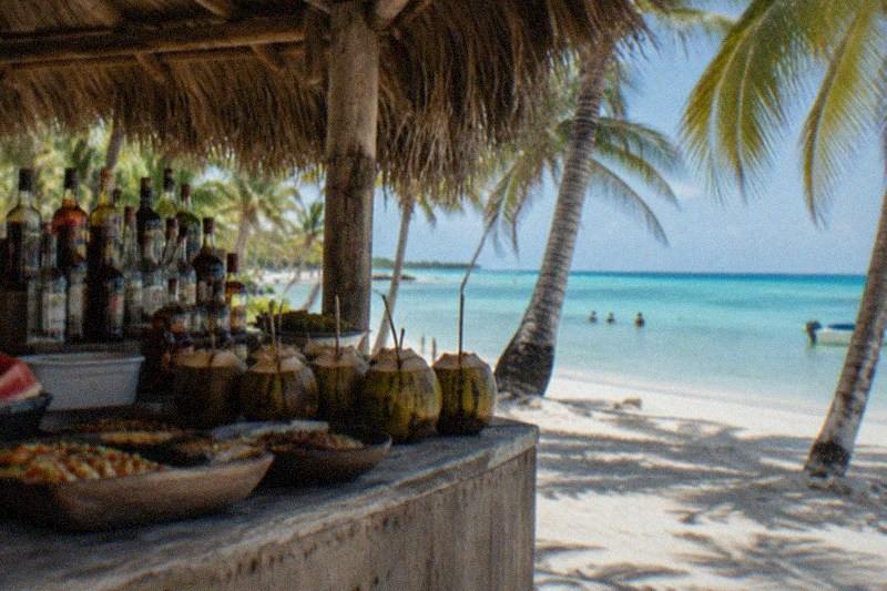 Saona Island Day Trip from Punta Cana with Lunch and Open Bar