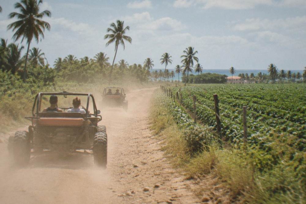 Two dune buggies driving along a dusty trail past green farmland
