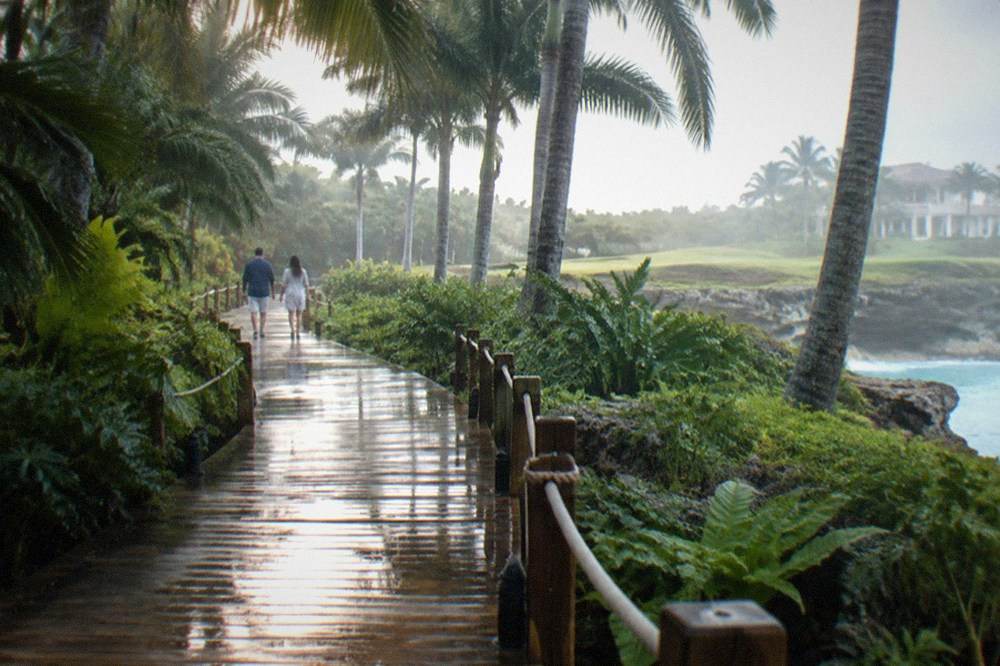 A wooden walkway leading through dense tropical vegetation in Cap Cana