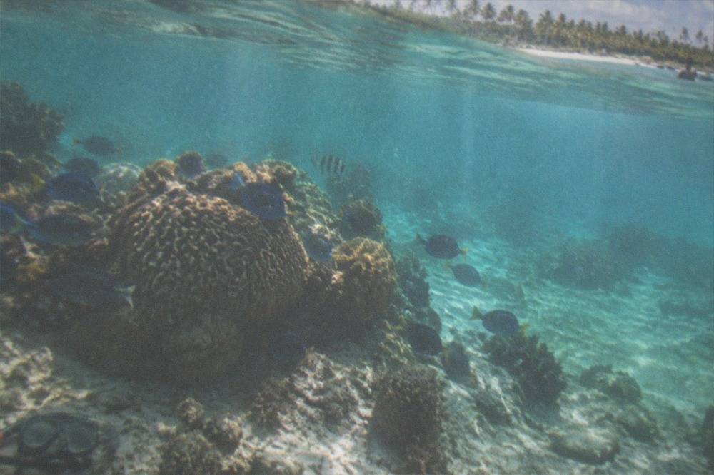 Snorkeler's view of a shallow coral reef in clear turquoise water with sunbeams