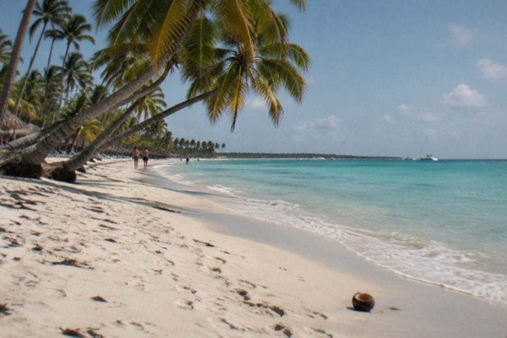 Wide sandy beach with coconut palms leaning over calm turquoise water