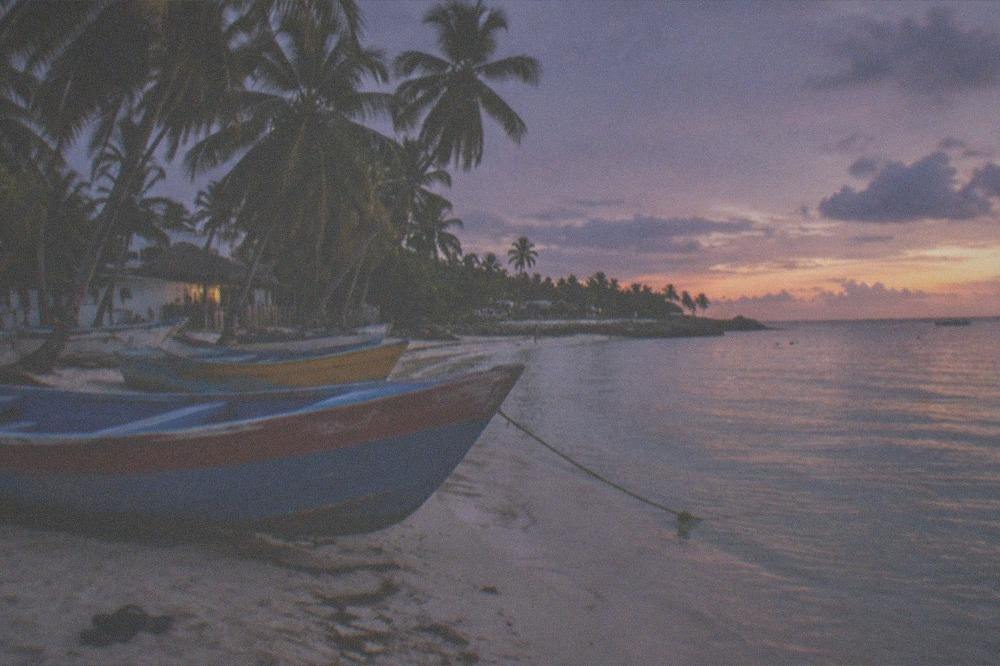 Colorful wooden fishing boats and palm trees along a quiet tropical shoreline at dusk
