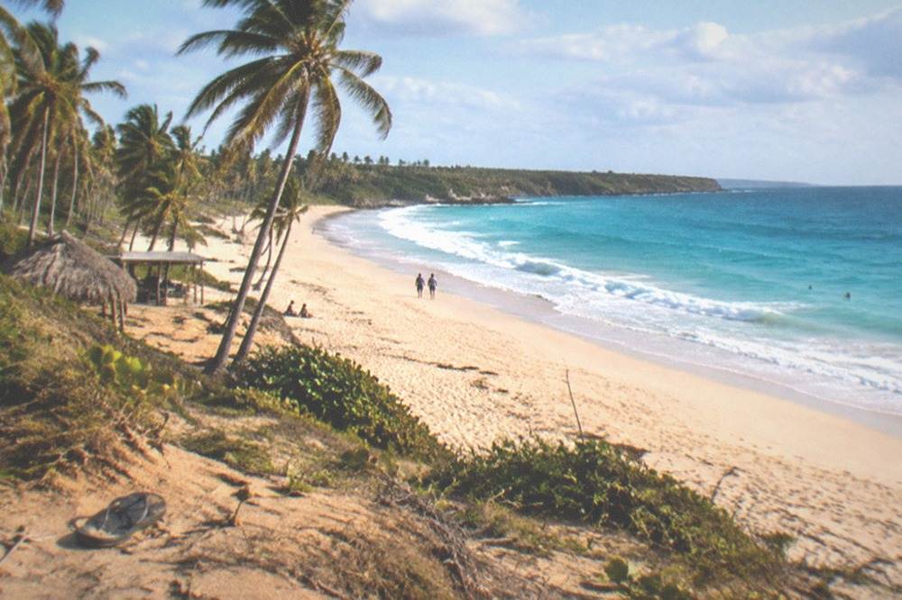 Wide sandy beach with palm trees and a turquoise surf line under scattered clouds