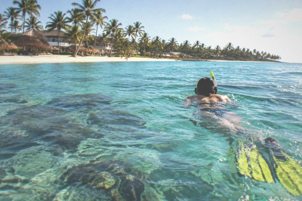 Snorkeler floating above a coral reef in clear blue water