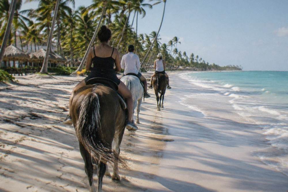 Riders on horses walking along a wide sandy beach at low tide with palm trees behind