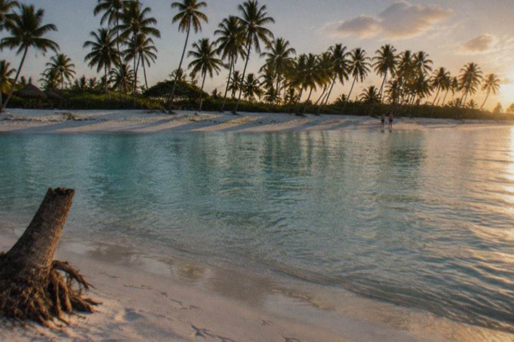 White sand beach with calm turquoise water and a line of palm trees on Saona Island