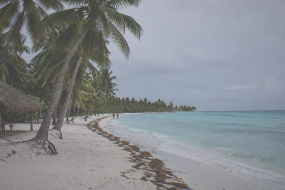 A long empty white sand beach with leaning palms and gentle turquoise surf